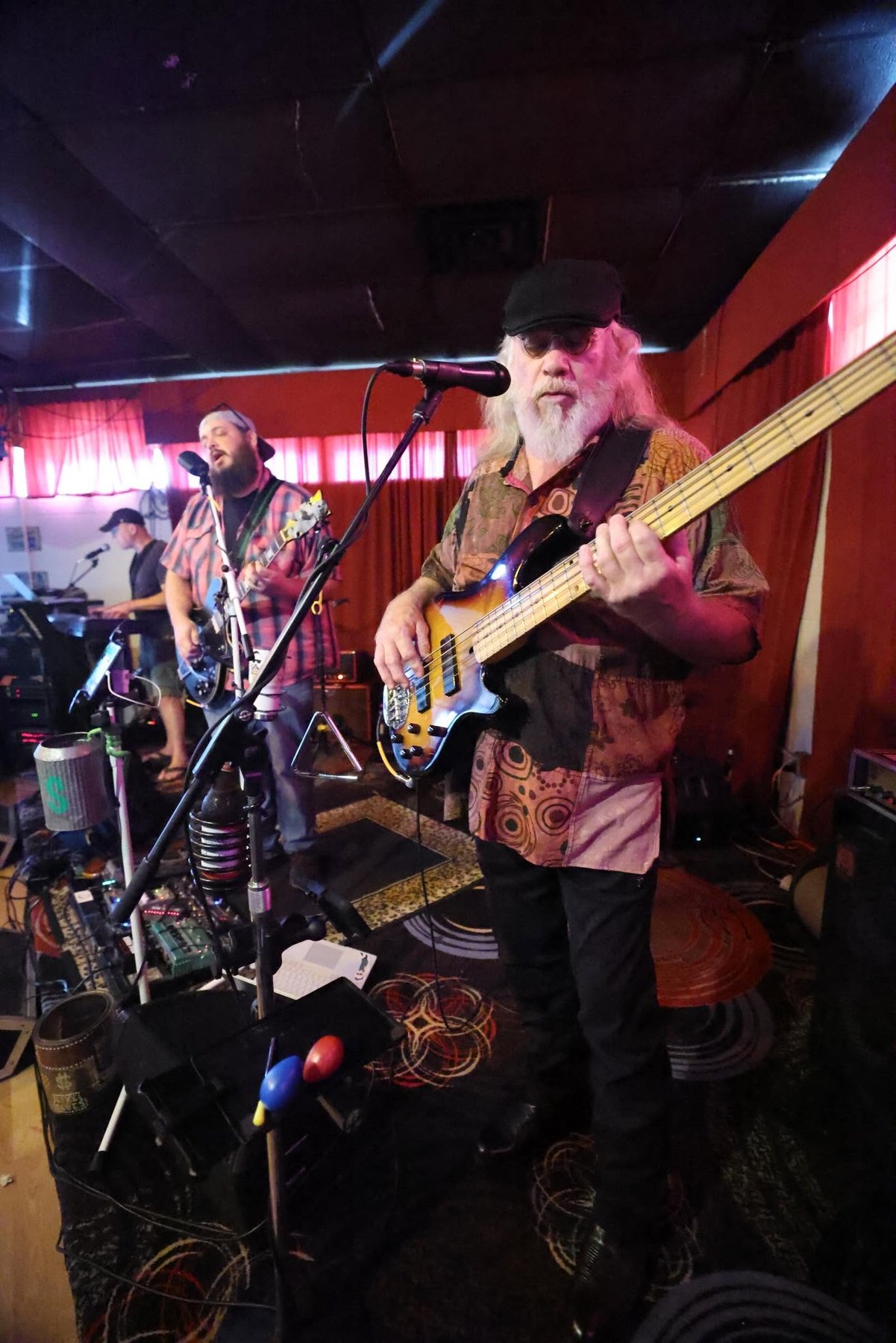 Saxophone and bass performance at a Bayou Gipsies show