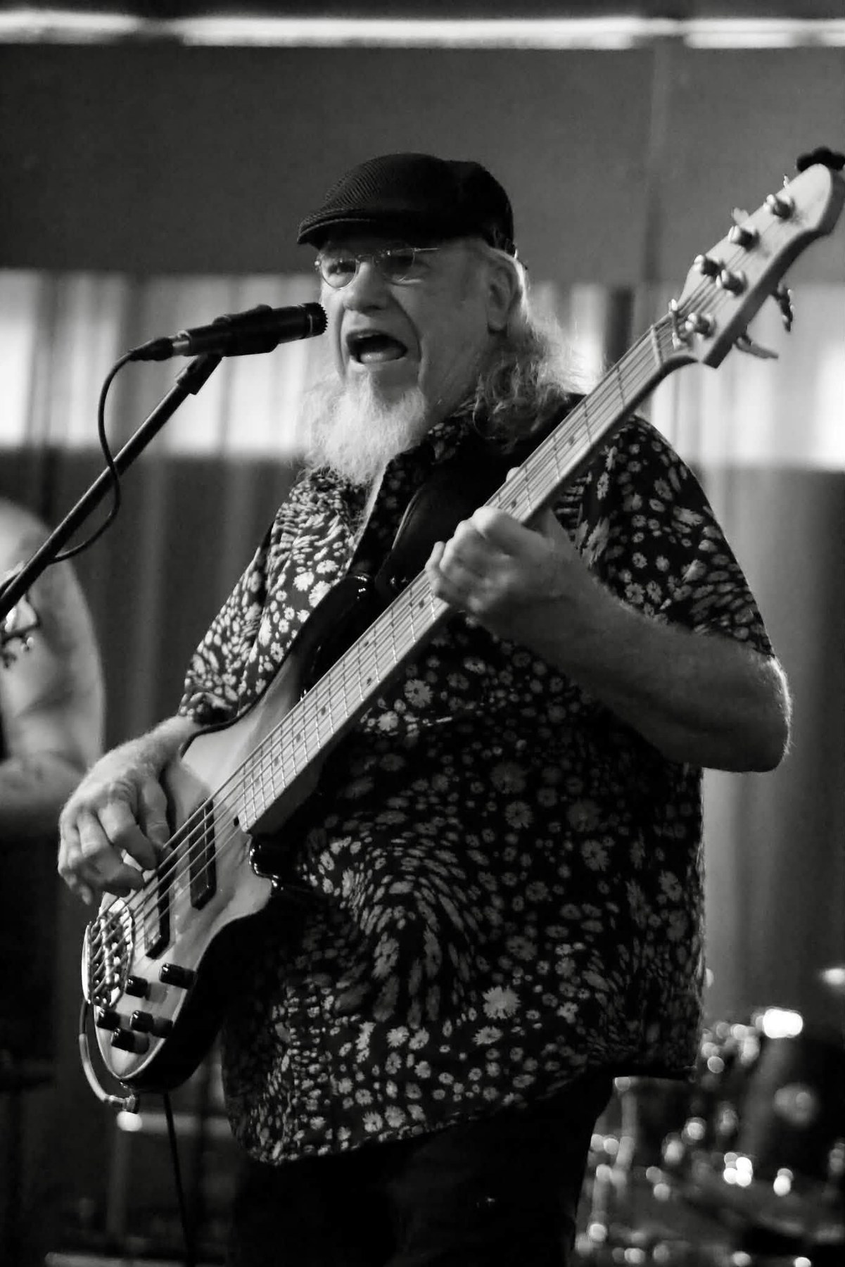Bayou Gipsies bass performance in black and white